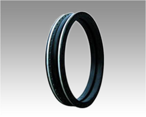 GJQ(X)-DF-II�����w���������z���^